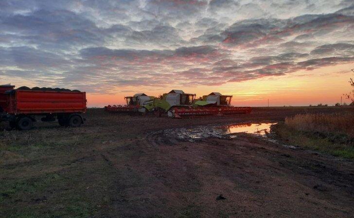    Фото: Курские известия