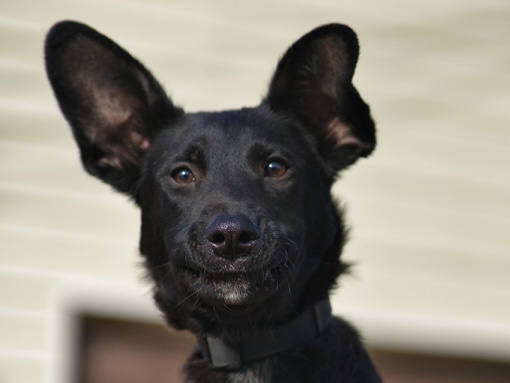 Я улыбаюсь, но все равно не нужный никому 😞