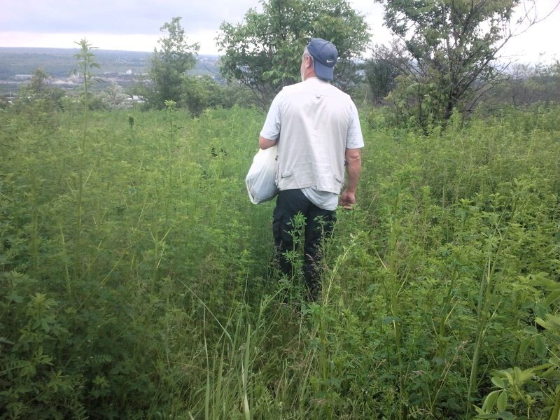 Фото автора