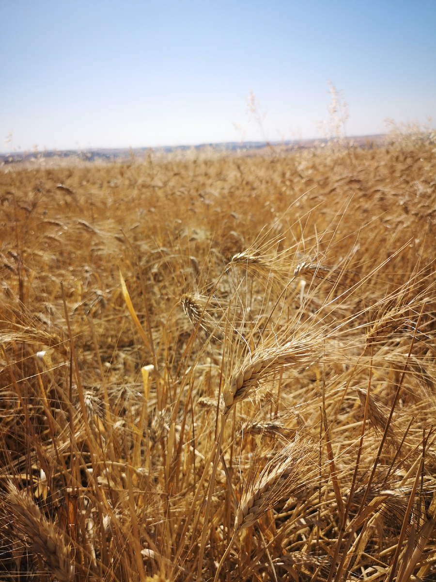 Изображение взято с сайта стоковых фотографий