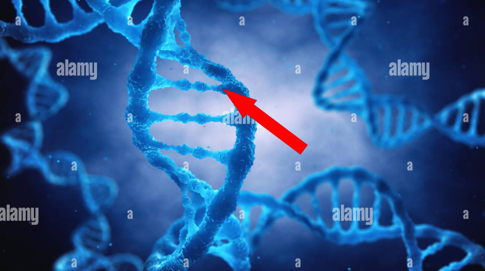    ТАЙНОЕ ОРУЖИЕ XXI ВЕКА КАК ГЕНЕТИЧЕСКИЕ ВИРУСЫ УБИВАЮТ ПО НАЦИОНАЛЬНОСТИ