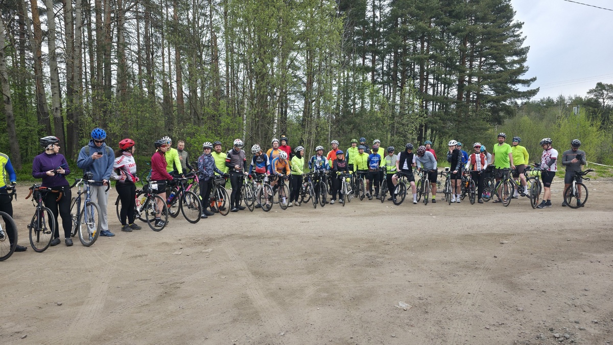 Вот ведь людям не спится в воскресенье!