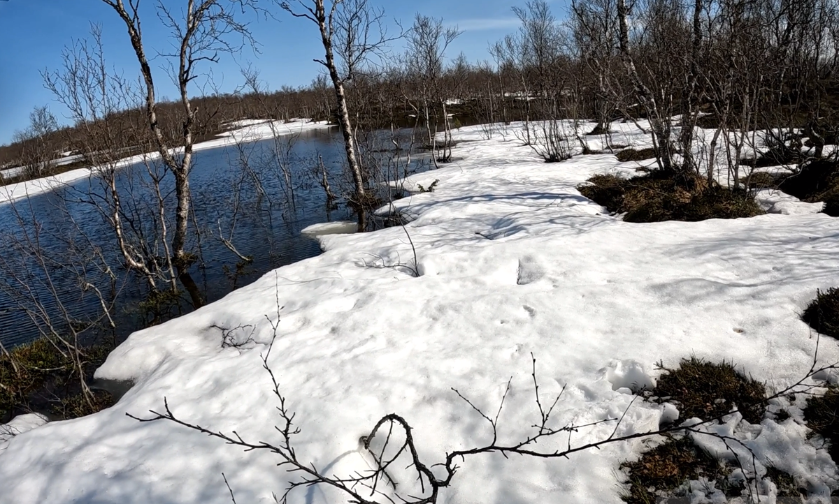 ФОТО АВТОРА.