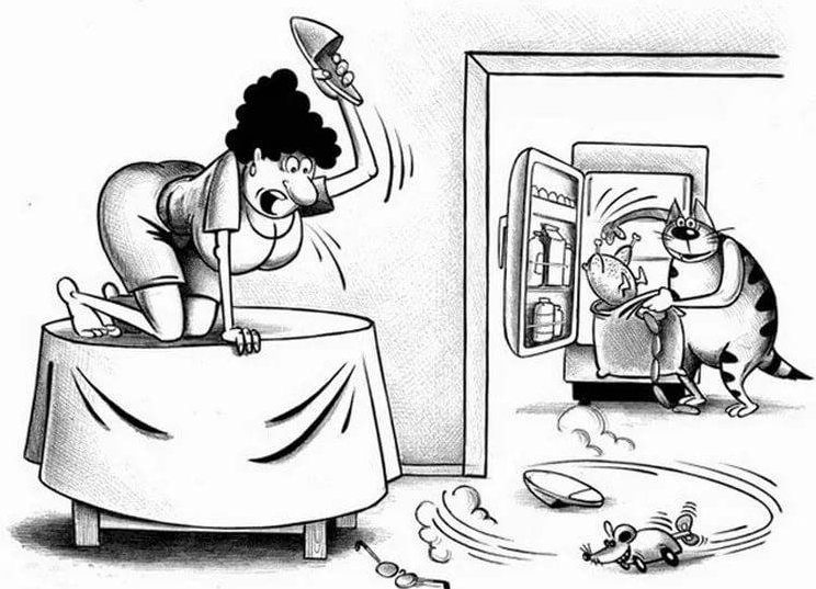 Источник Яндекс картинки