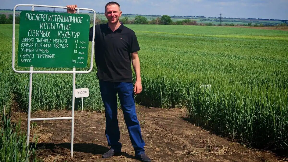 Фото: пресс-служба Луганского территориального отдела «Донецкого» филиала Россельхозцентра.
На полях ЛНР испытывают новые сорта озимых зерновых