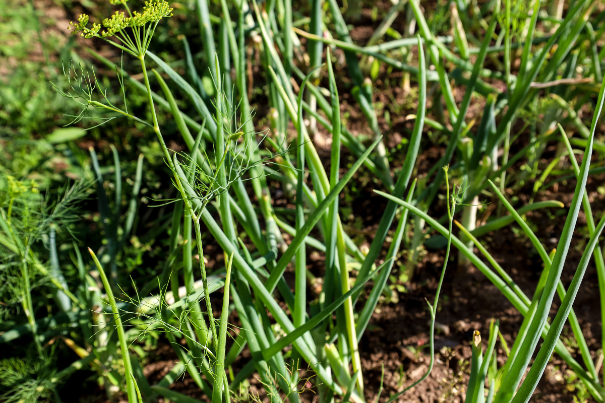 Фото: © Elena Mayorova/ Global Look Press