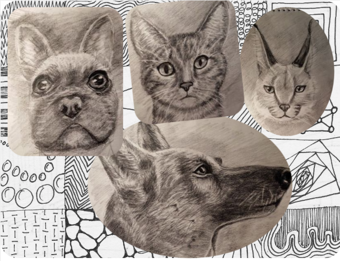 Учились рисовать животных