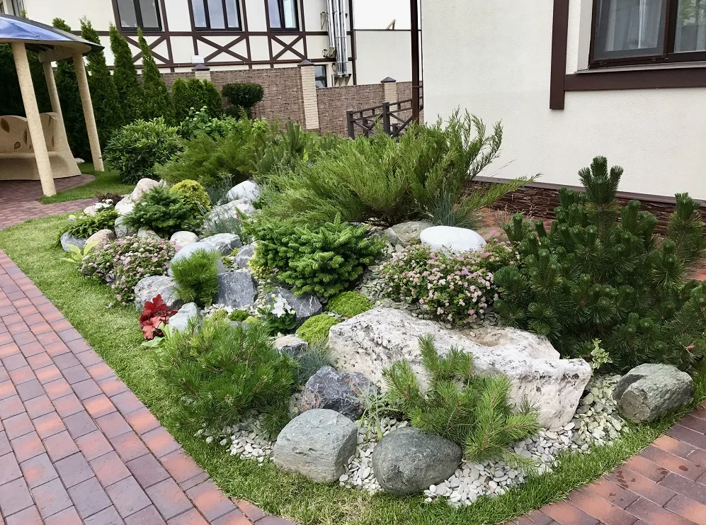 Клумба возле дома. Яндекс картинки.