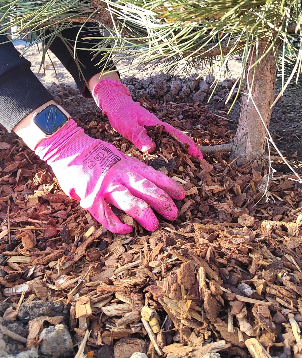 Реализация проекта в Смоленской области нашей Magic командой.