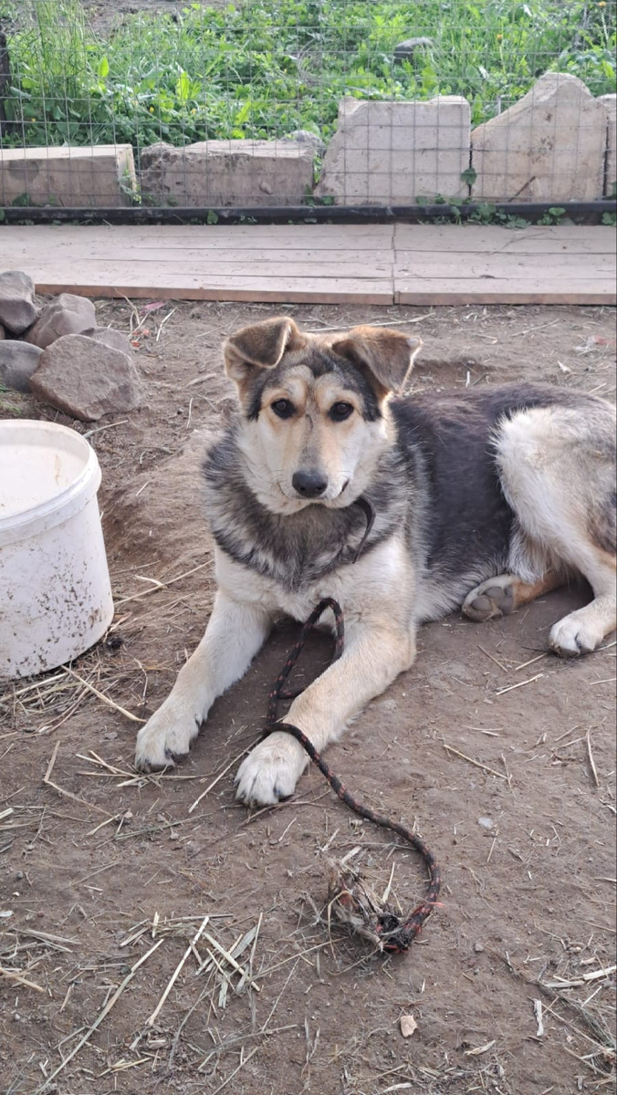 Клёпа