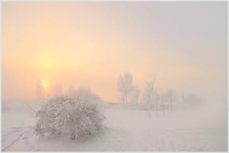 Фото из Яндекса в иллюстративных целях