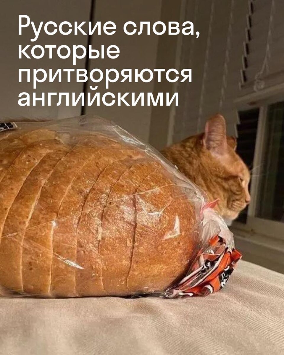 👇👇👇👇👇👇👇👇👇👇👇👇👇👇👇👇👇👇