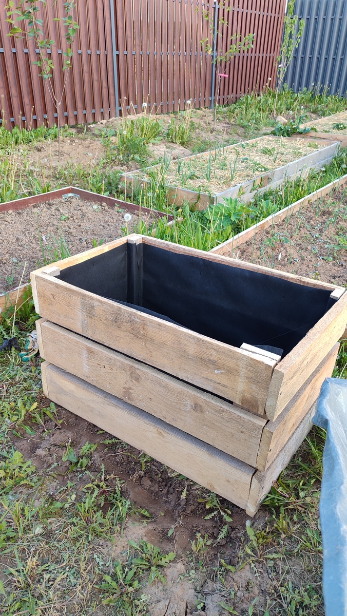 До покоса между грядок руки так и не дошли 😅