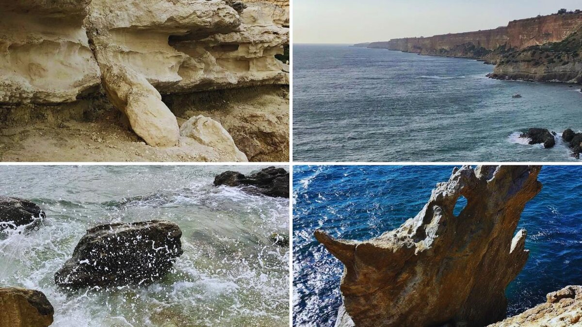 Как природа такое создает?