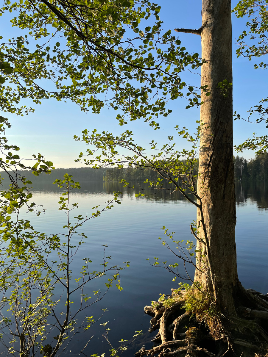 Щучье озеро 