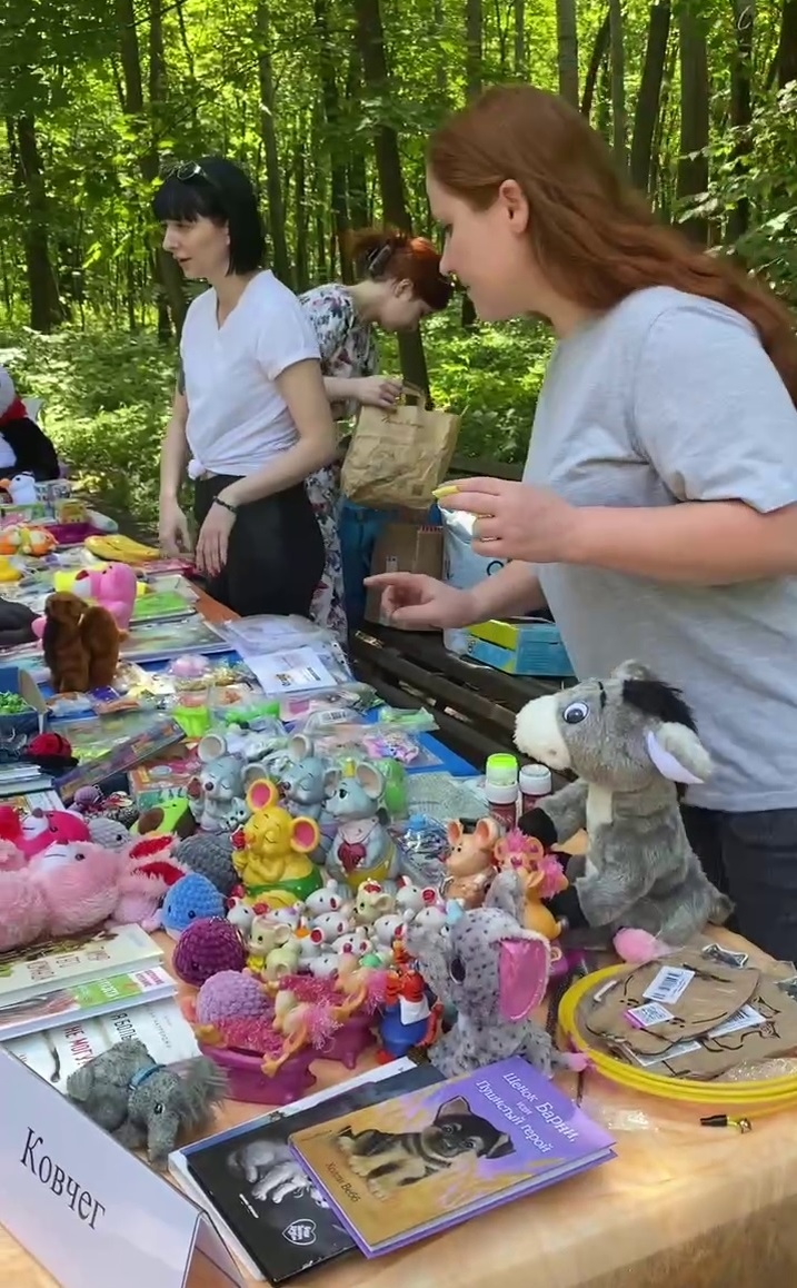 Волонтеры приюта "Ковчег"