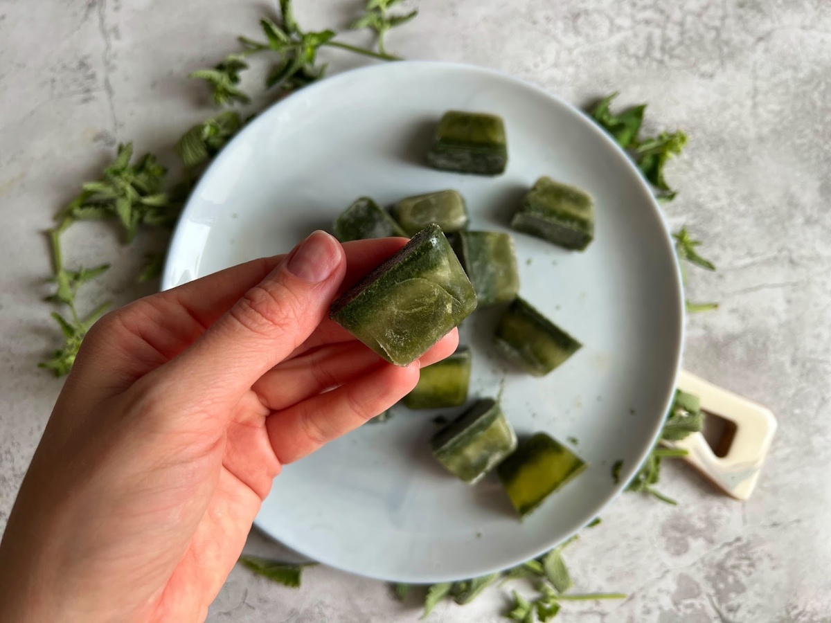 Как заготовить мяту на зиму. Фото: Сладкий Персик