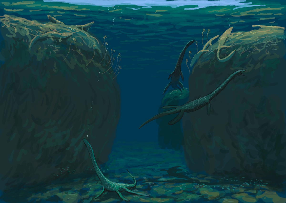 Трахелозавры плавают в устье реки.