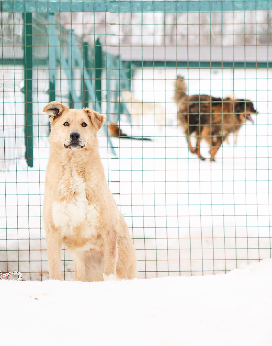 Ты снова мимо меня, да?