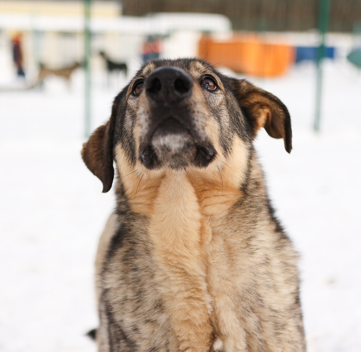 Я еще могу всё успеть!