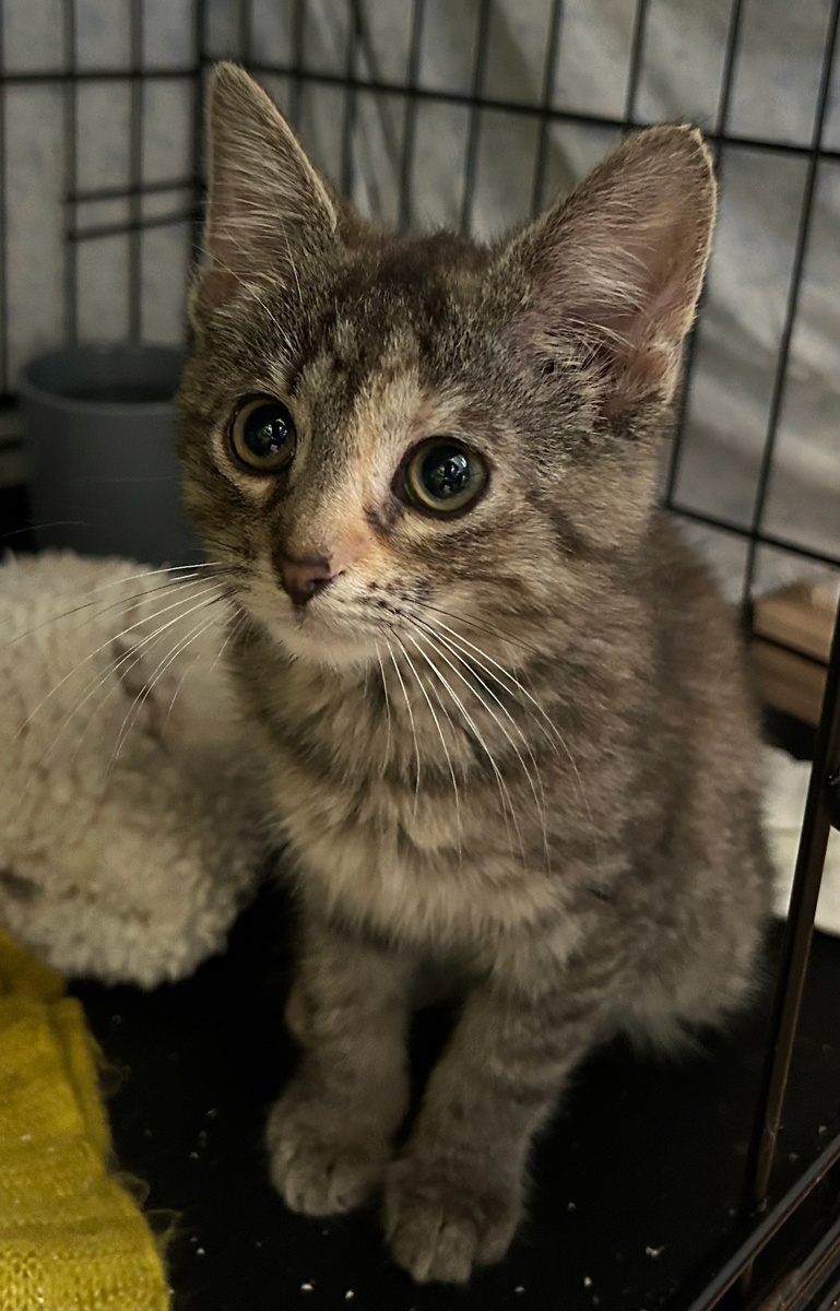 Девочка Плюша