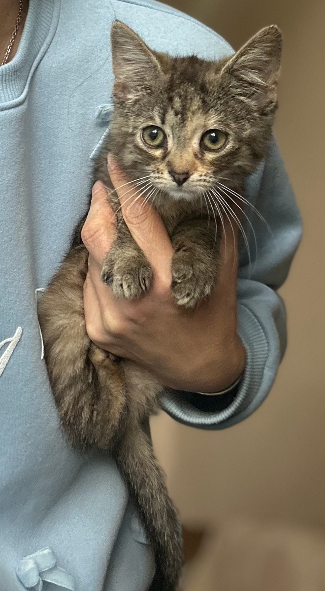 Девочка Плюша