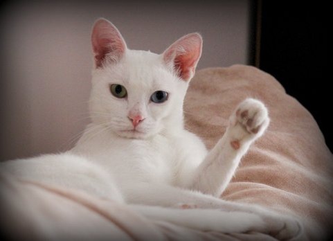 Ничесе, как давно!