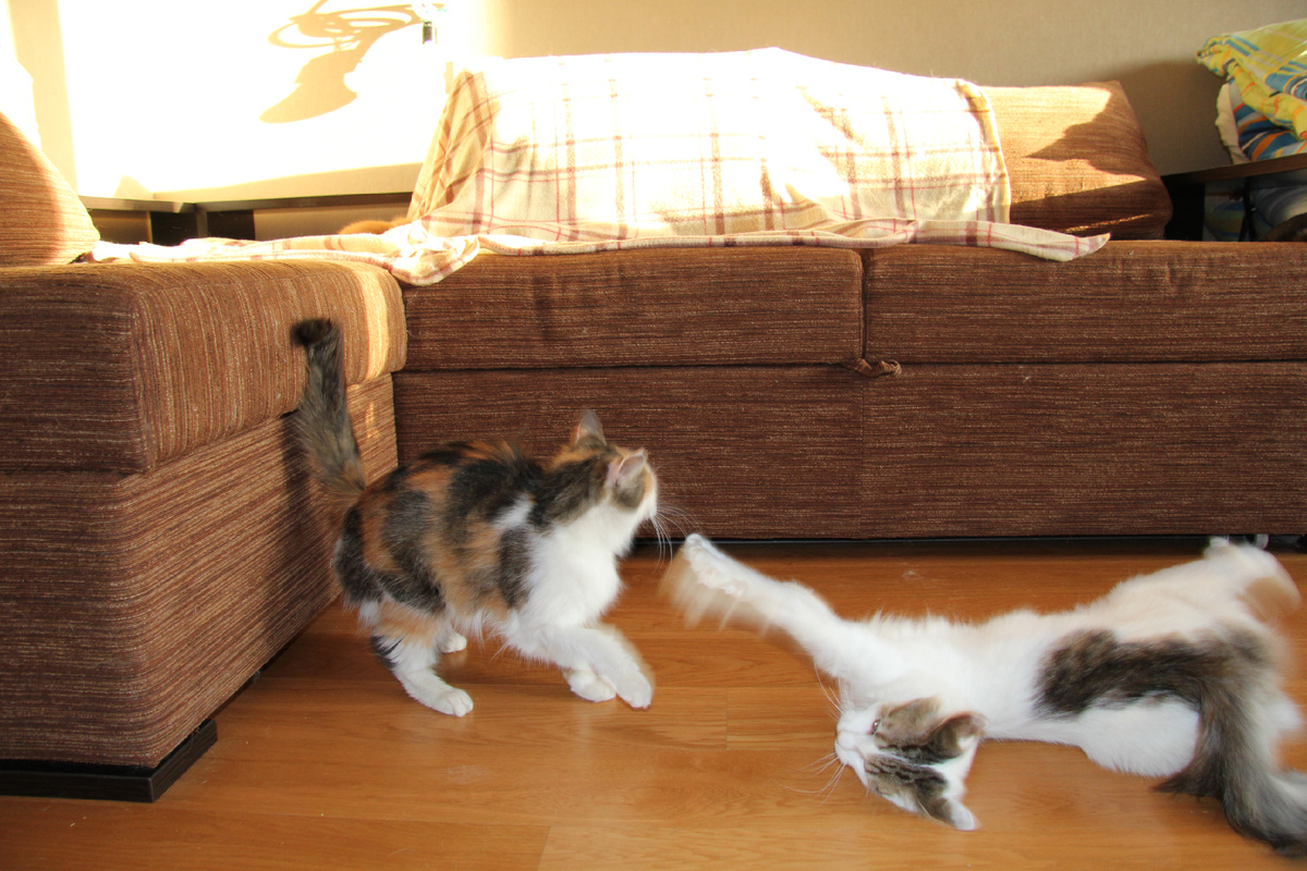 Было не менее весело, чем сейчас:)