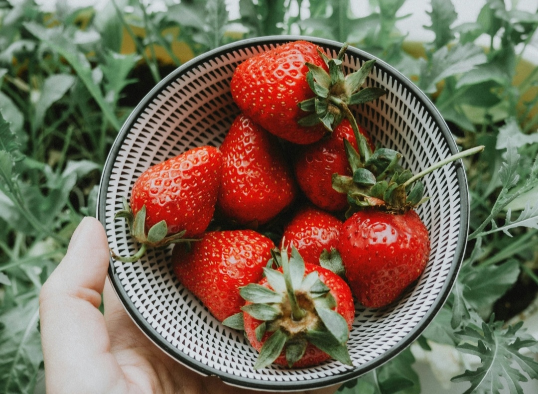 Клубника любит солнце, рыхлую плодородную почву и стабильную влажность, поэтому ее компаньоны должны поддерживать такие условия
