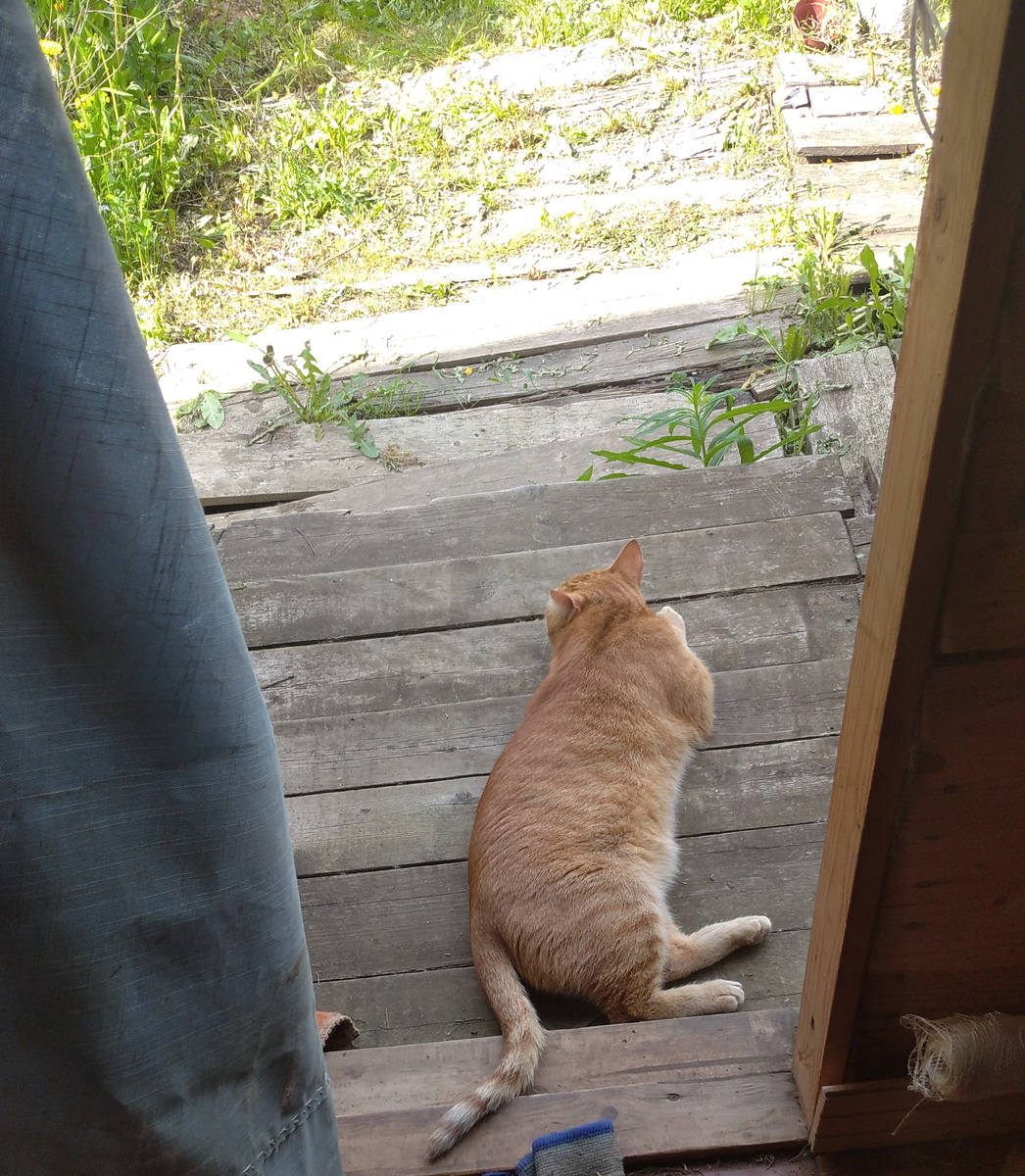 личное фото