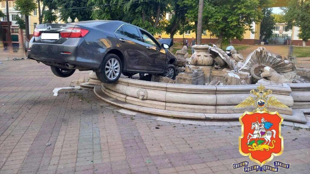    Фото: Подмосковная полиция/t.me