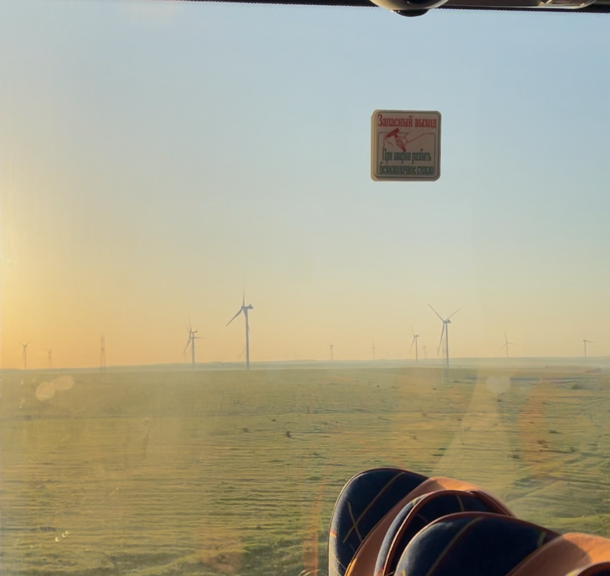 Утренний вид был великолепен