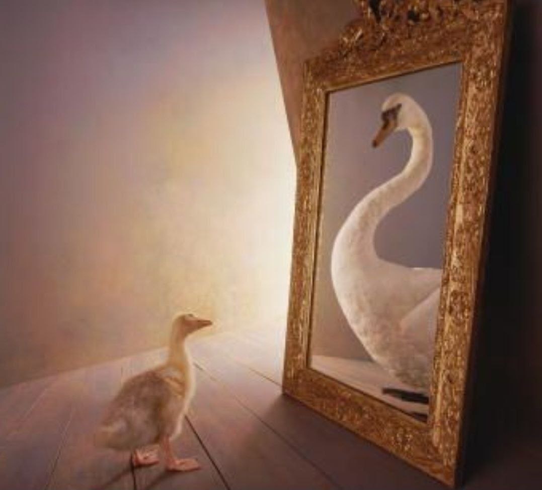 Ты не поднимаешься в трудный момент. Ты падаешь. Астролог Елена Мирошниченко 