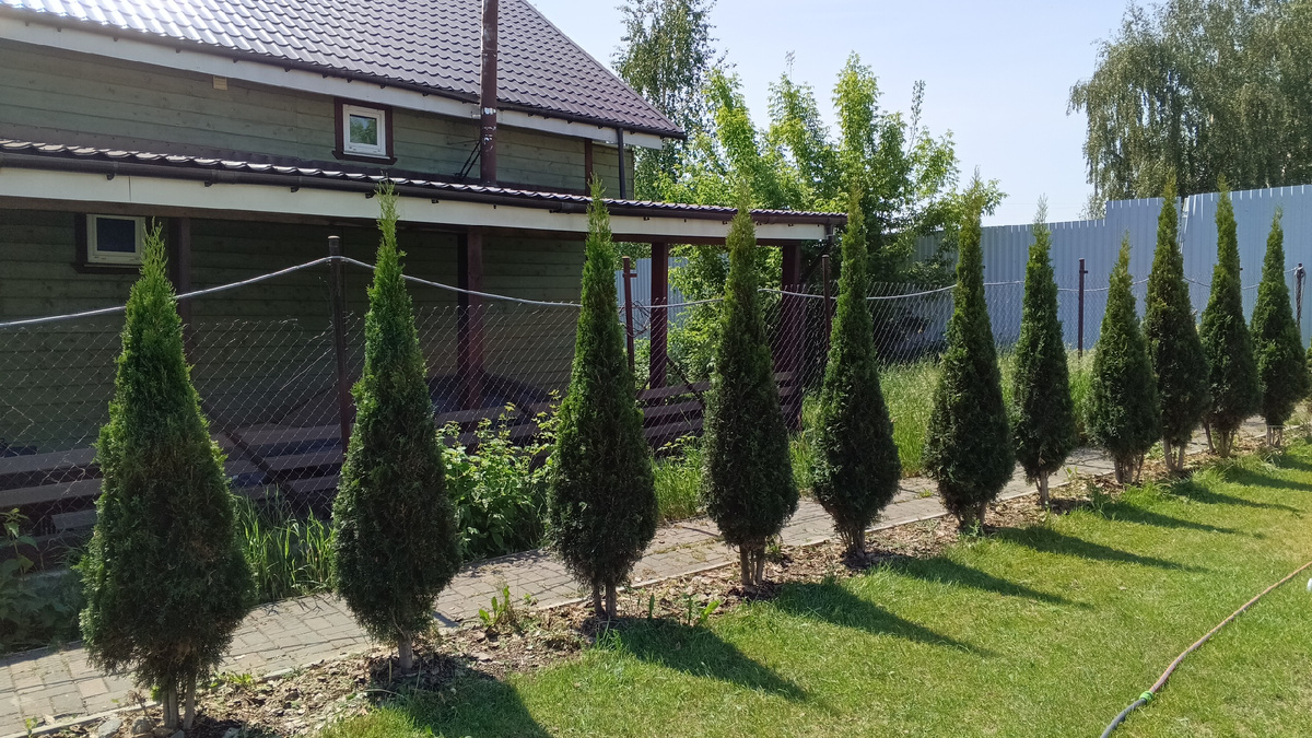 ФОто моей работы