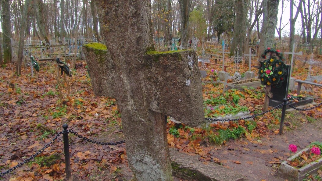    Konstantin Kokoshkin/Globallookpress