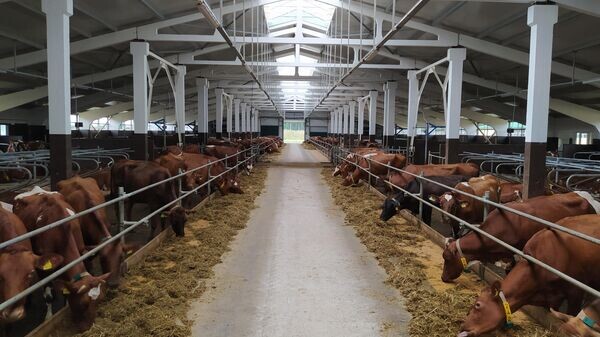    © Sputnik / Николай Михновец