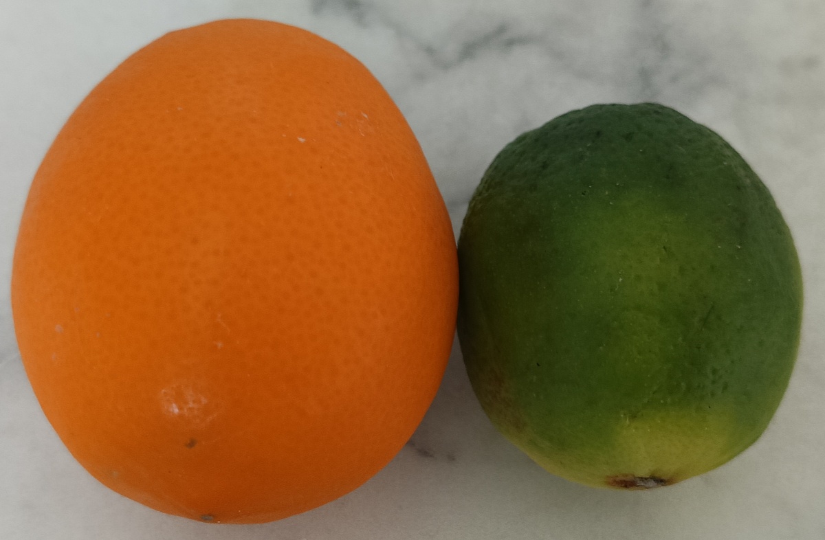 Мой сегодняшний непростой выбор. 