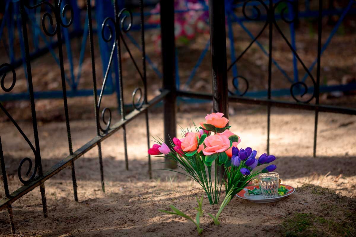    Фото: makalex69 / Shutterstock.com