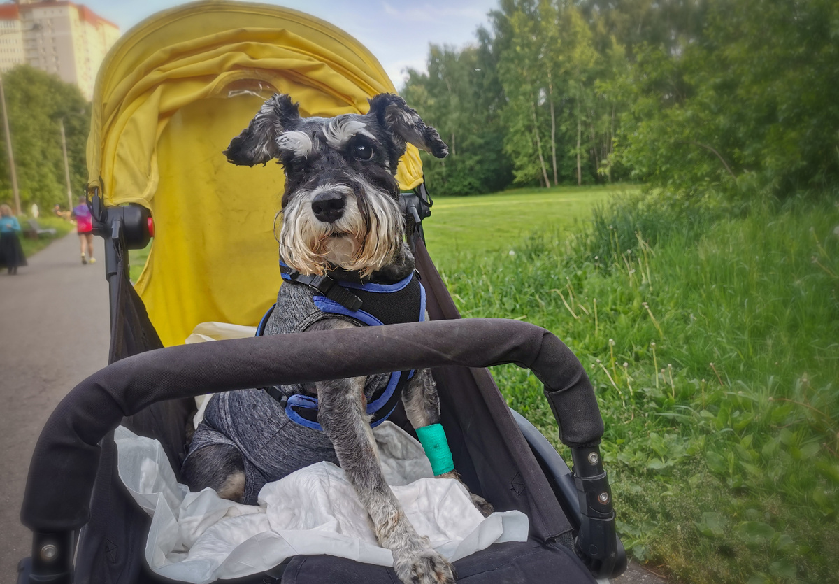 Вот так мы ехали домой