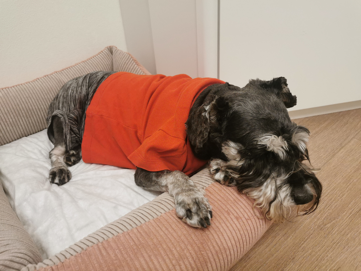 Маленький арестант