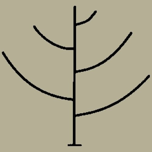 Разрежённо-ярусная крона