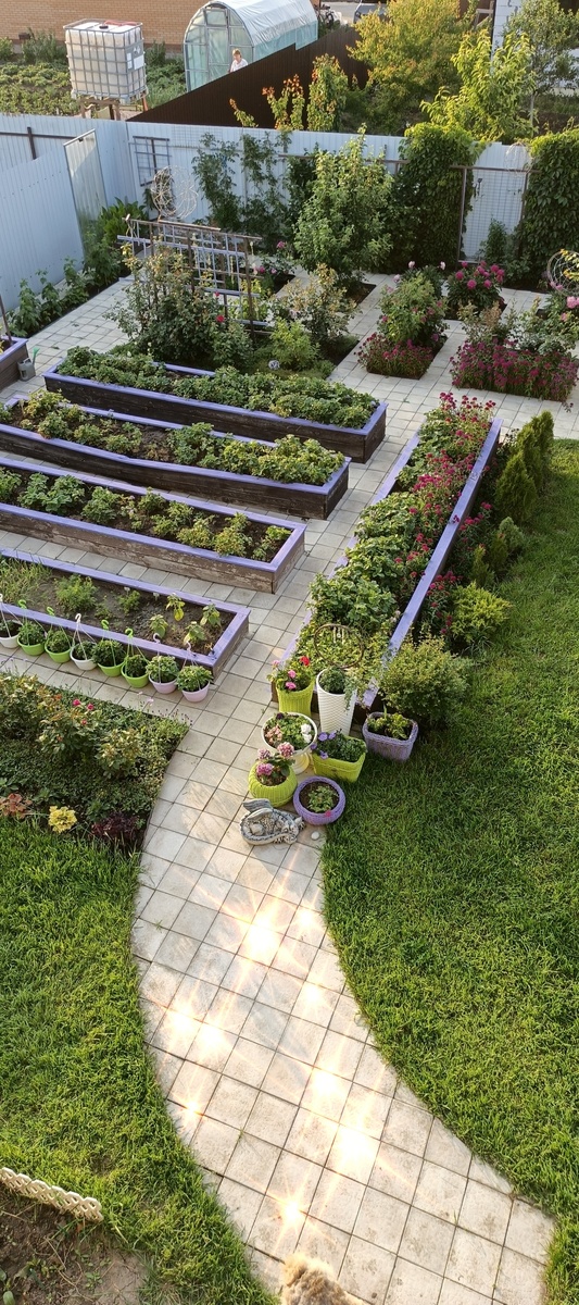 Вид с моей "прЫнцесной"(спальня так называется). Эти кашпо с дракосликом Фионой видовая точка с террасы. В моё поле зрения постоянно попадается шпалера(тех времен когда я еще не умела варить, а красоты очень хотелось) вот её в ближайшее время буду переделывать и грядки подкрашу.