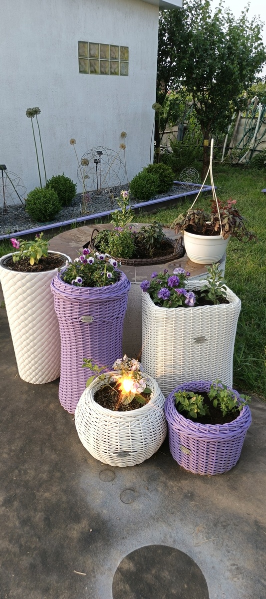 Кашпо для фасада+2 подвесных, скоро переедут, тут пока удобней поливать.За кашпо очаг, замаскированный  тоже кашпо).