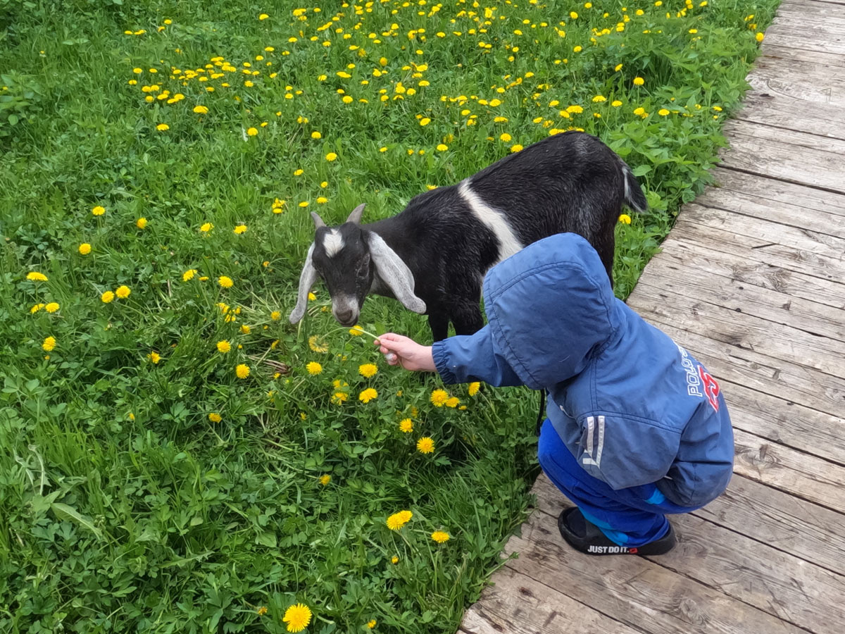 Марк кормит Аяврика