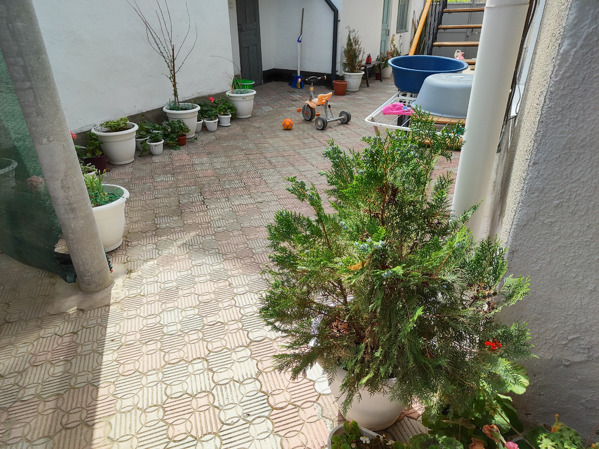 в процессе уборки двора