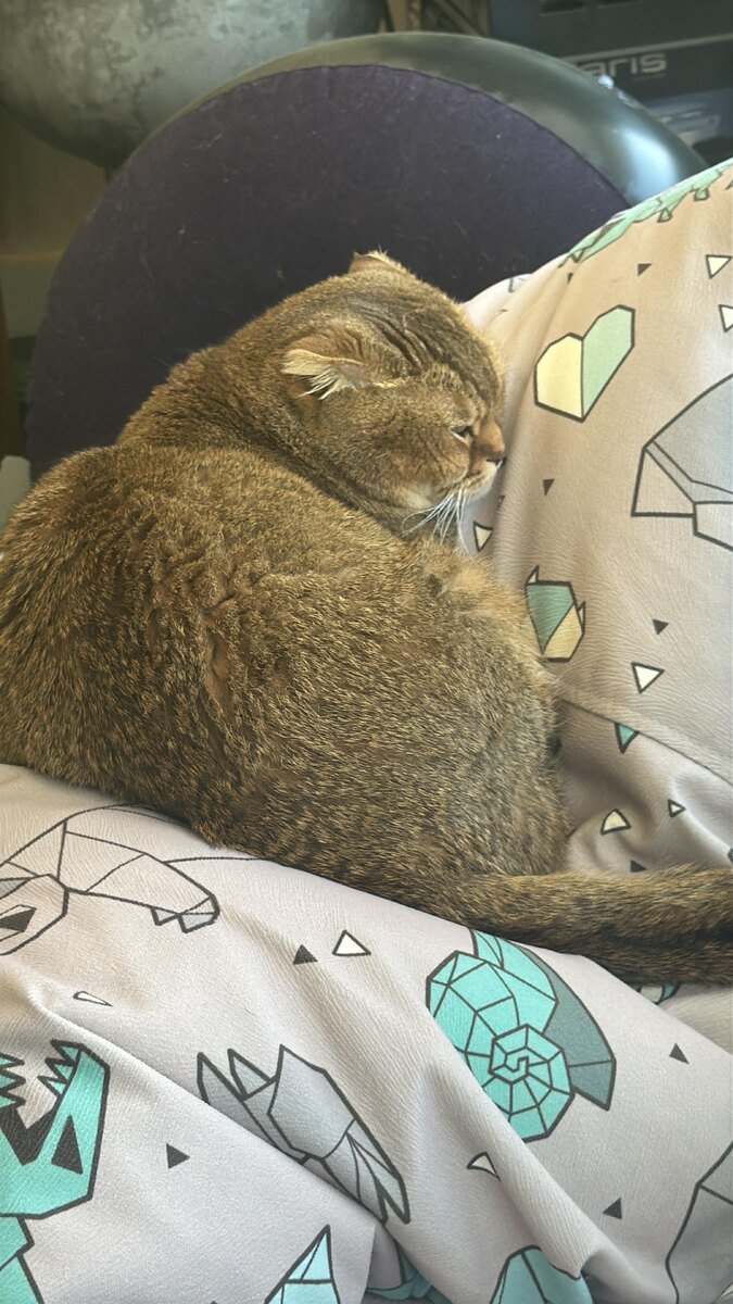 Мэй Ли  (из личного архива)