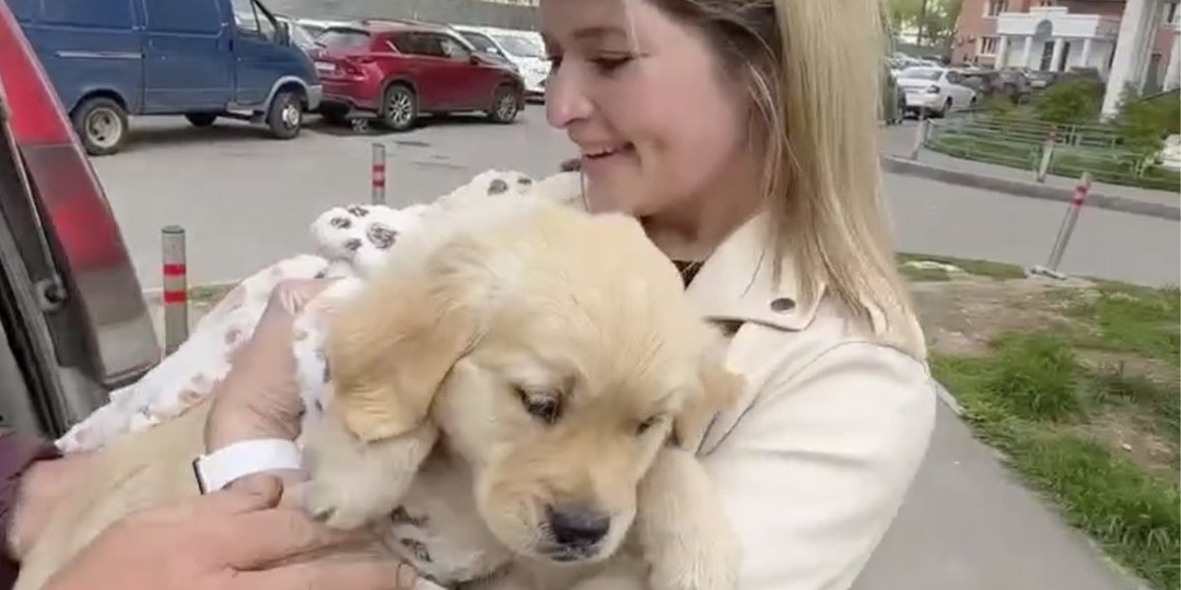 Трогательное видео: хозяйка доказала, что ее пес — настоящий ребенок