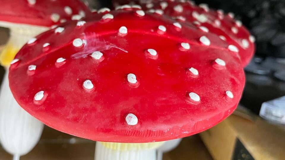 В Фикс Прайсе случилось то, чего я не ожидала даже от Леруа. Моя дача теперь похожа на выставку ландшафтного дизайна. Обзор