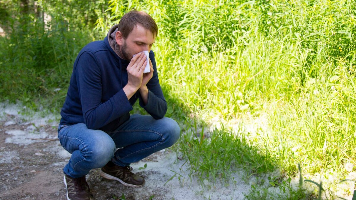 Не пух виноват: почему Вы задыхаетесь летом и что с этим делать 