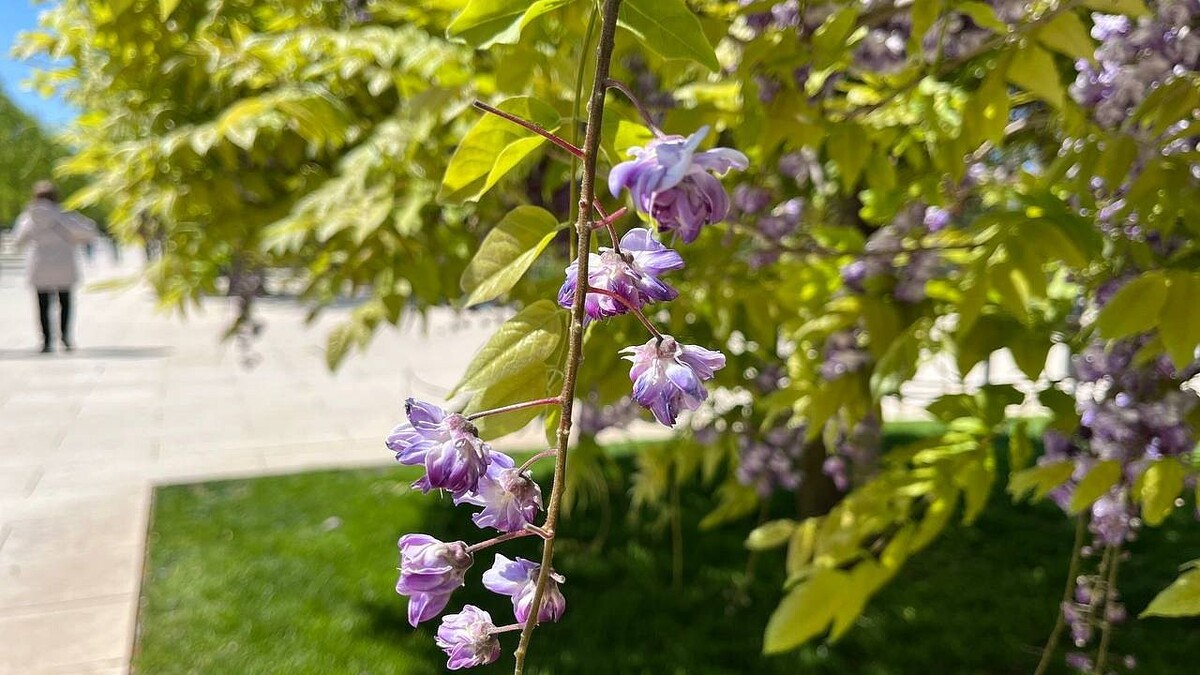    Фото: телеканал «Краснодар»